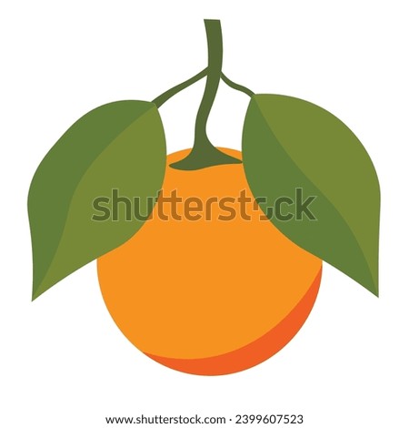 Fresh orange fruit vector image, whole orange with leaves, isolated on white background