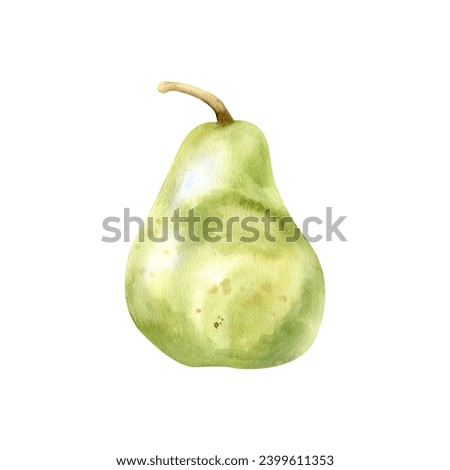 Watercolor hand drawn green pear. Summer green fruit ,clip art for kitchen, label, logo, invitation, product design. Fresh food illustration.