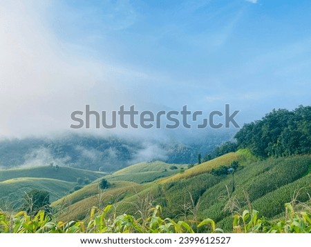 It is a picture of a mountain scenery at 6:00 a.m. with some mist, a good atmosphere suitable for taking photos.