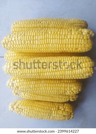 pile of corn ready to be processed into food