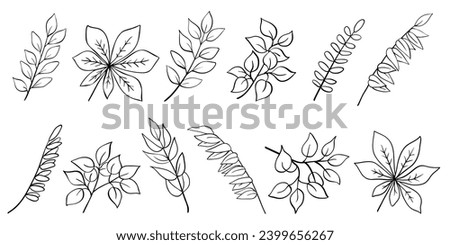 Tree branch collection, twigs and leaves of acacia, laurel, birch, willow, chestnut. Hand drawn outline sketch isolated on white. Vector for nature and botany illustration, floral and organic design. Royalty-Free Stock Photo #2399656267