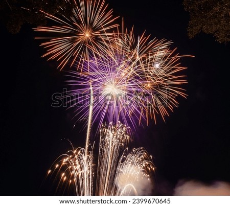 Fireworks explode in the dark sky celebrating the annual festival.