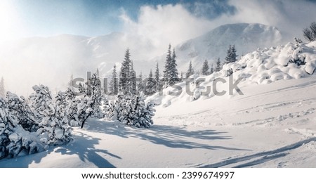 Snowy landscape on a sunny and frosty day in the highlands. Location place Carpathian mountains, Ukraine, Europe. Photo wallpapers. Happy New Year concept. Discover the beauty of world.