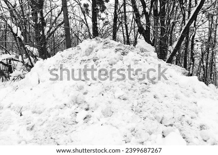 A pile of snow at the forest, in the background of the tree and shrub trunk, cold weather, winter time, natural background for text, black and white photo