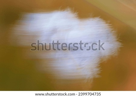 Fluffy Fluff in the Dust, tan, earth tones. ICM Photography for fine art prints and abstracts.