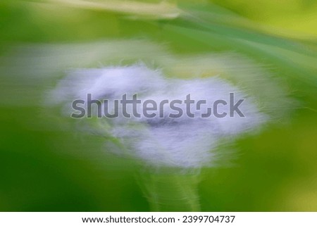 Purple Mink in the Wind, green and violet. ICM Photography for fine art prints and abstracts.