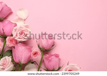 Beautiful roses and petals on pink background, top view. Space for text Royalty-Free Stock Photo #2399705249