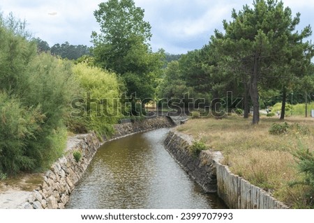 river landscape with green vegetation