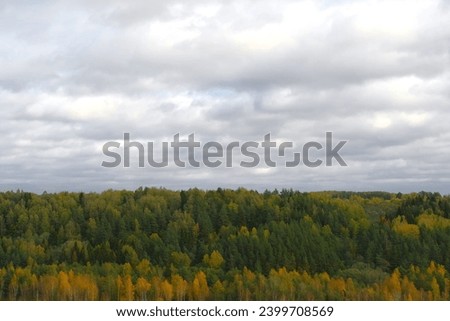 Late autumn in a wild forest area. Low rain clouds over trees on the horizon. Aerial drone shot. Winter moody wood view. Distant mysterious nature landscape. Woodland Valley with a Lake in the far. 4K