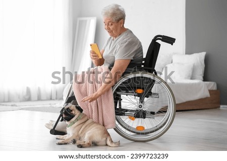 Senior woman in wheelchair with mobile phone taking picture of pug dog at home