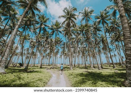 Man standing on the beach and enjoying the tropical place with a view. caribbean sea colors and palm trees in the background. Concept about travels and lifestyle