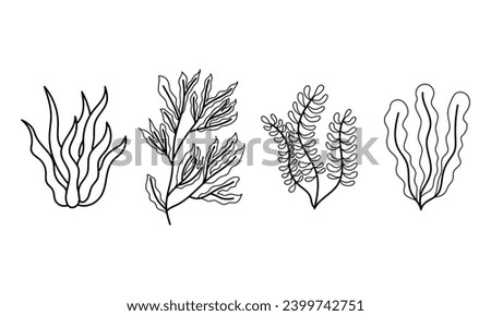 Set of seaweed under the sea elements. Hand drawn clip art