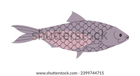 grey color tenualosa ilisha fish wild nature animal freshwater river or lake swim underwater