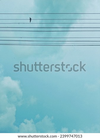 A sky with bird sitting on electric line like a music sheet notation 