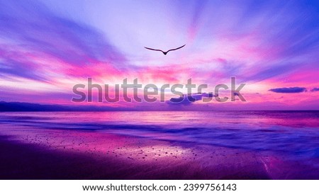 A Bird Silhouette Is Soaring Above The Colorful Clouds At Sunset
