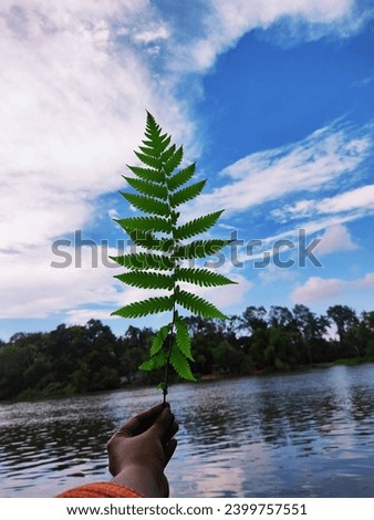 Sky
Nature
Botany
Picture
Water
River 