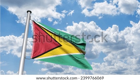 Flag of Guyana Co-operative Republic of Guyana