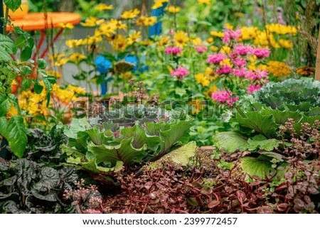 permaculture garden with different plants Royalty-Free Stock Photo #2399772457