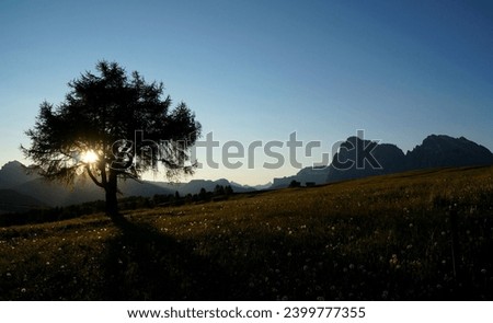 Idylliic and wonderful sunrise scenery at Alpe di Siuisi in dolomites near Gardena Valley, South Tyrol, Italy Royalty-Free Stock Photo #2399777355
