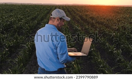 Mature farmer inputs information about corn plantation condition in laptop on country field. Farmer controls corn plantation with laptop at sunset. Agronomist types on laptop checking corn plantation Royalty-Free Stock Photo #2399790889