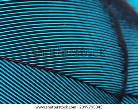pattern from the kingfisher feathers Royalty-Free Stock Photo #2399795045