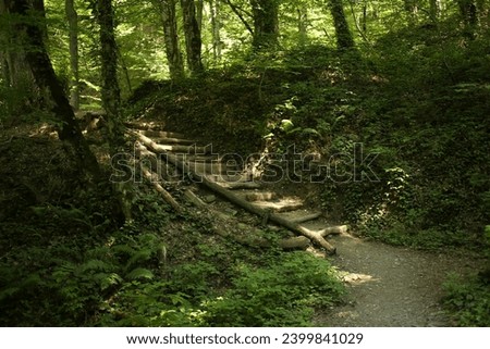 Wooden stairway in forest, horizontal picture