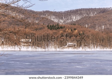 a beautiful snow-covered frozen lake surrounded by a lovely forest
