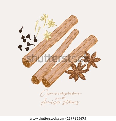 Hand drawn illustration of cinnamon sticks with flower buds and anise stars. Culinary graphic elements, food ingredients, spice drawing with background colouring