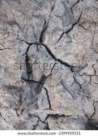 Earth cracked due to severe draught and climate change crisis.