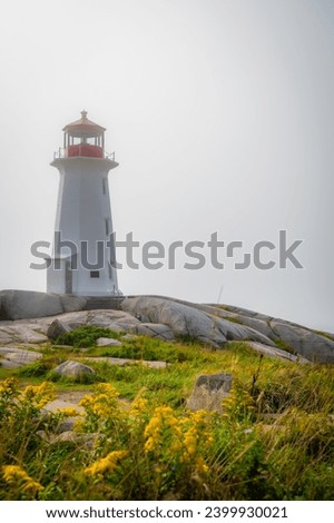 Vertical photo of the iconic Peggy's Cove lighthouse by the Atlantic Ocean on a grey foggy day with yellow flowers, located near Halifax, Nova Scotia, Canada. Photo taken in September 2023.