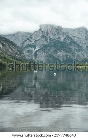 Cloudy day at the lake in Austria. 