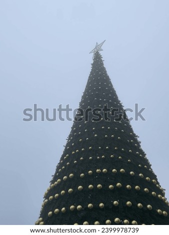 Christmas tree on the street in the fog