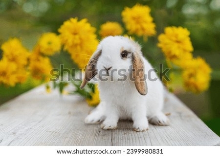 Little decorative fold rabbit outdoors in summer