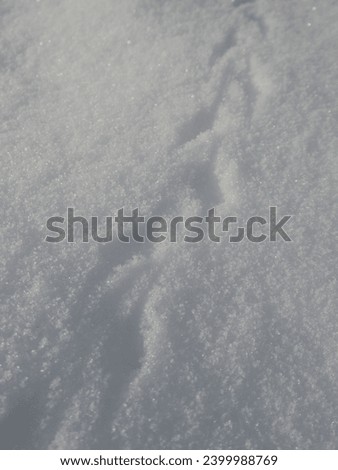 Close-up on delicate tracks imprinted on the pristine snow, a testament to the fleeting dance of creatures in winter's embrace Royalty-Free Stock Photo #2399988769