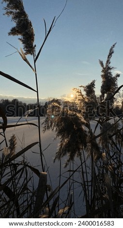 lake, field, winter, beautiful pictures with a winter mood.