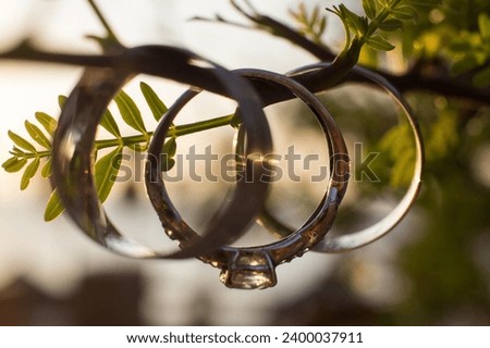 "These elegant wedding rings delicately rest amidst a natural tapestry of flowers and leaves, symbolizing the union of eternal love surrounded by the beauty of nature. Fresh blooms and green leaves ac