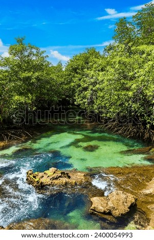 River in Natural travel Thapom Klong Song Nam, Krabi, Thailand with blue sky Royalty-Free Stock Photo #2400054993