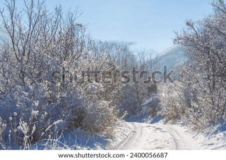 The mountains. Winter. No fuss, no deadlines, just absolute peace and relaxation. Deep snow-covered forests, rough trees and shrubs, white tops of snow-covered trees