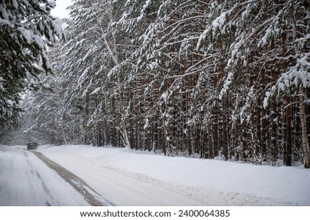Experience the beauty of a winter wonderland in a snow-covered forest Drive along a scenic road surrounded by snow-covered trees Immerse yourself in the tranquility and serenity of nature