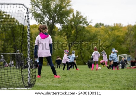 Selective focus on grass and back of goal net in a youth soccer match. 