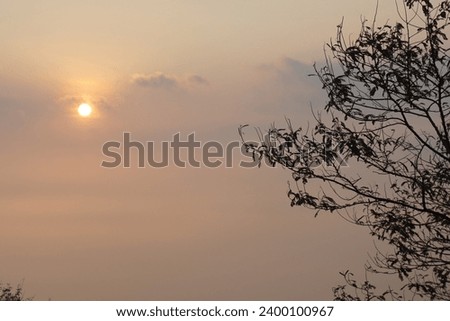 view of the twilight sky with tree branches