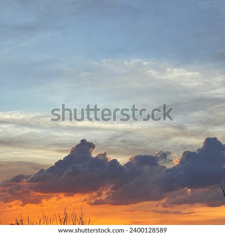 Orange fluffy clouds and sun sunlight reflection in the blue sky. Silhouette of tree and sky background.copy space.