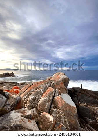 Australian rocky coastline and a sheltered cove in the Bay of Fires in Tasmania with lichen covered boulders and blue sky with a few clouds over the southern ocean and the beach in the background Royalty-Free Stock Photo #2400134001