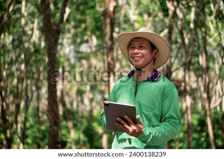 A Rubber trees and plastic bowls in a rubber plantation. A rubber technician expertly tapping rubber trees to collect their precious latex. digital farmer. Royalty-Free Stock Photo #2400138239