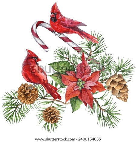 Watercolor Christmas wreath with red cardinal bird, poinsettia, pine cones, holly berry isolated on white background