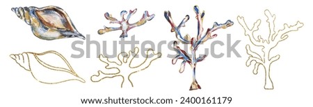 Acrylic hand painted sea shells and corals illustration set, golden graphic liner shell clipart, ocean life clip art