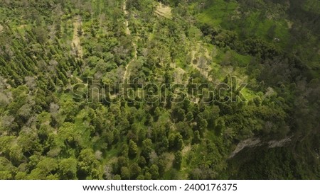 Aerial View of Klangon Forest and Dry Riverbeds on Mount Merapi