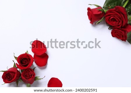 Beautiful red roses and petals on white background, top view. Space for text Royalty-Free Stock Photo #2400202591
