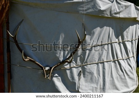 A close up on antlers or horns of a big wild animal attached with rope to a cloth tent set up as a part of medieval camp spotted on a sunny summer day on a Polish countryside during a hike Royalty-Free Stock Photo #2400211167