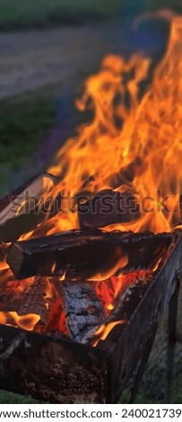 firewood for barbecue, fire, orange flames